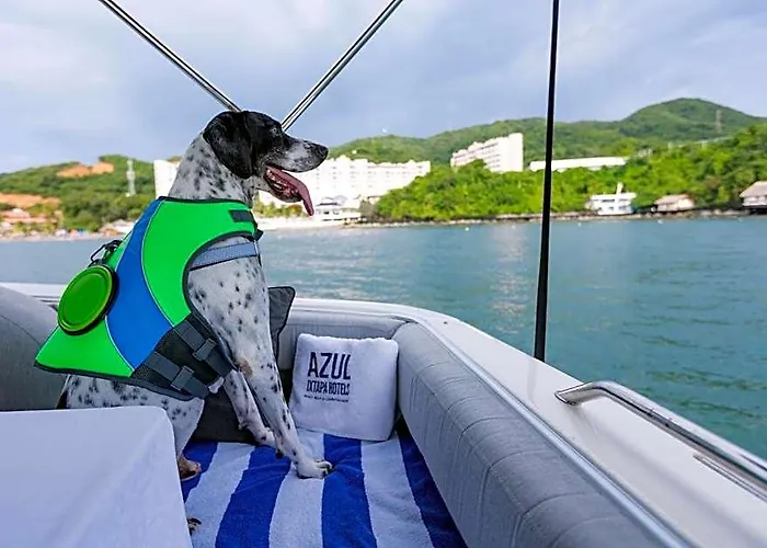 Hotel Azul Ixtapa